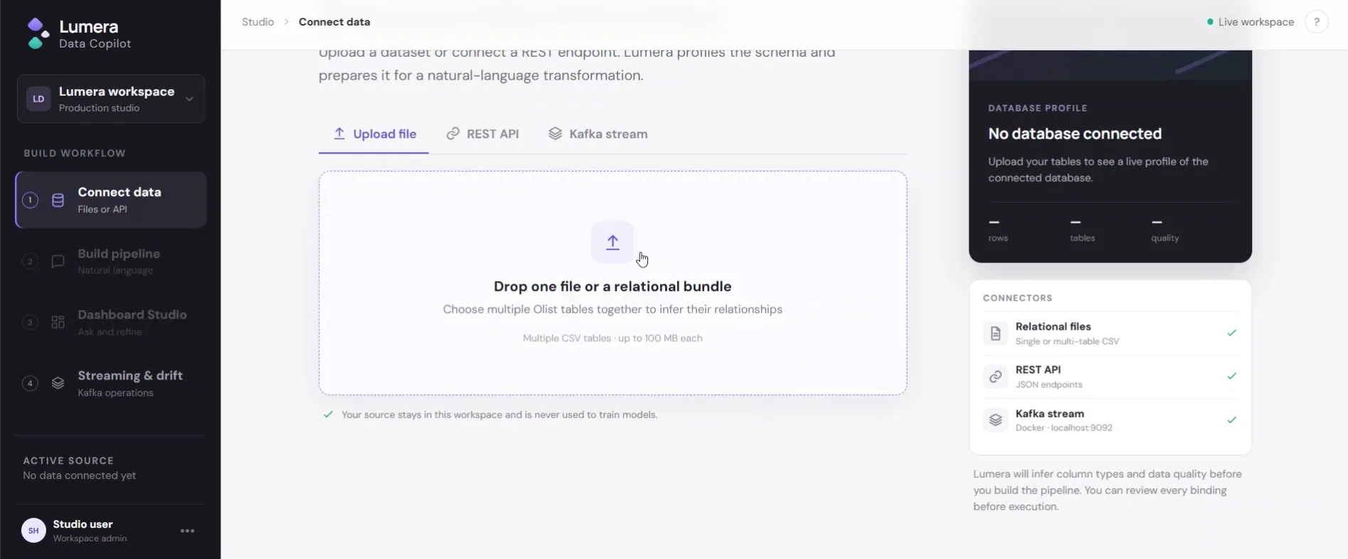 Lumera Data Copilot — vue 2